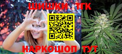 тгк Новодвинск