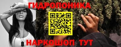 тгк Новодвинск