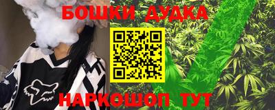 тгк Новодвинск