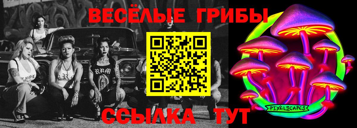 Учалы  Псилоцибиновые грибы мухоморы  Вход с VPN 