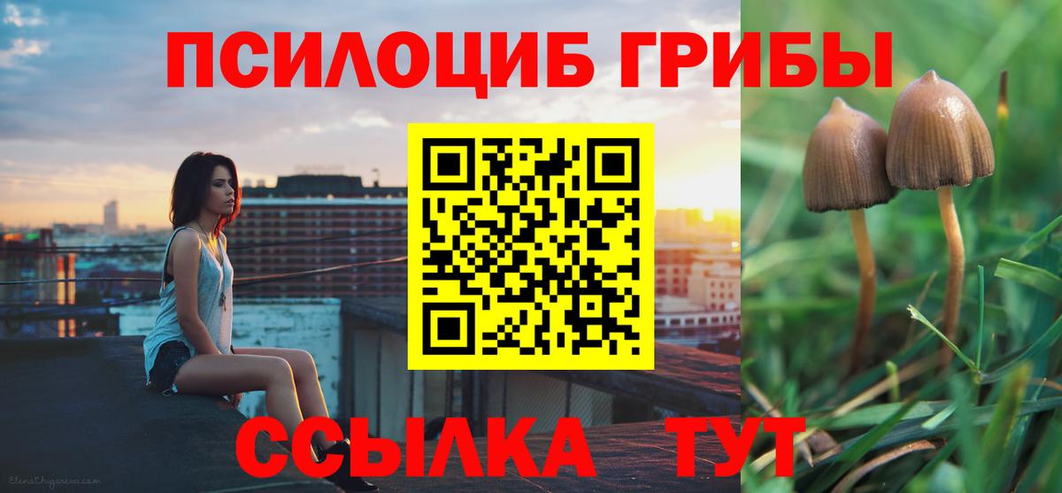 Псилоцибиновые грибы прущие грибы Учалы